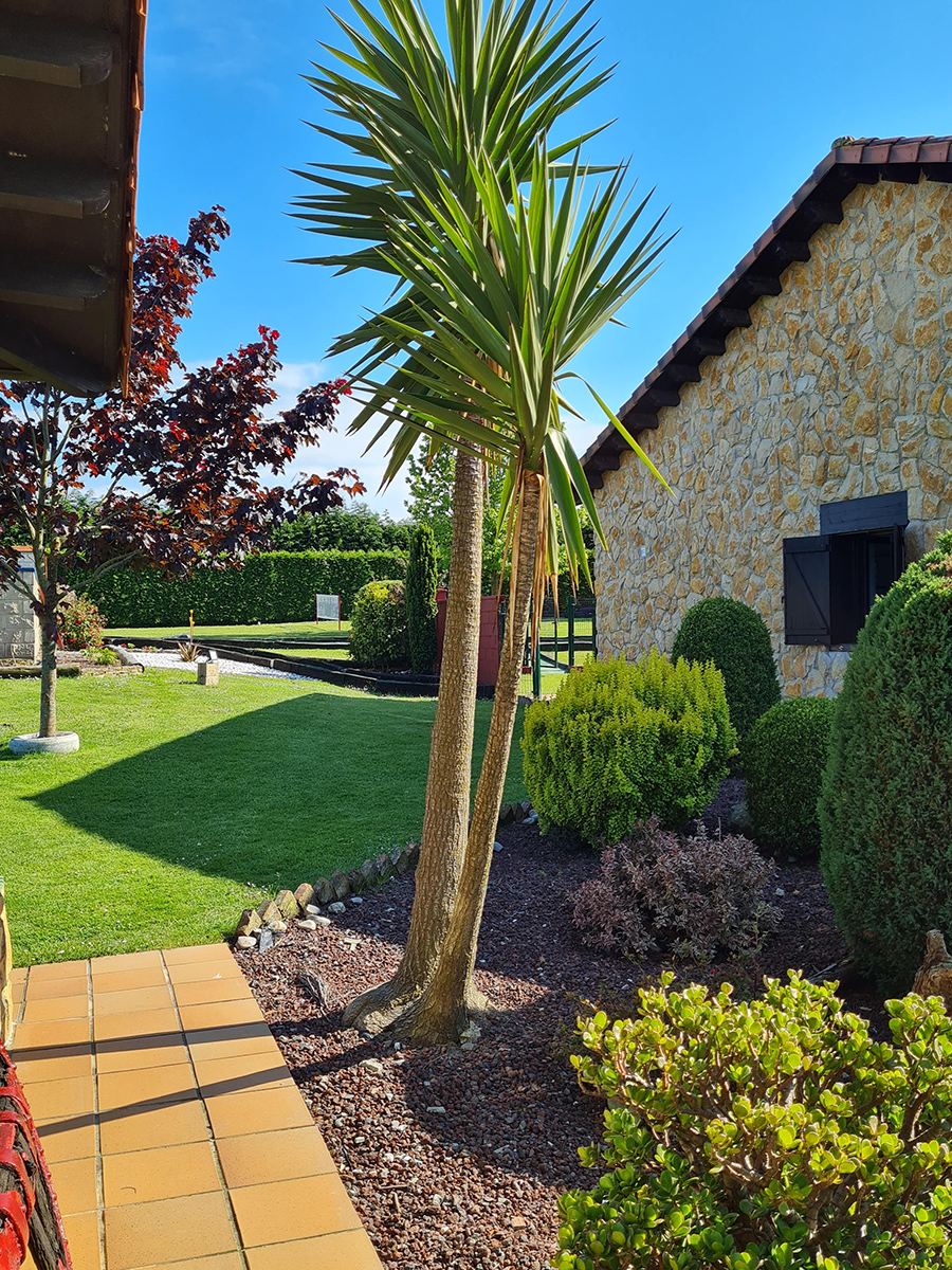 Zona exterior jardines